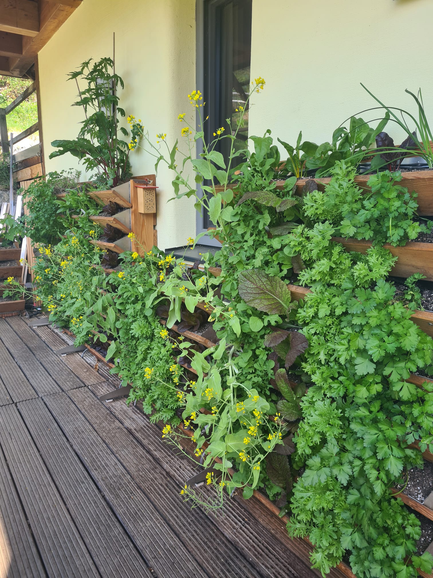 Garten 3 – Pflanzenkläranlage